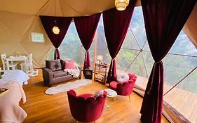 Feliza Rainforest Domes